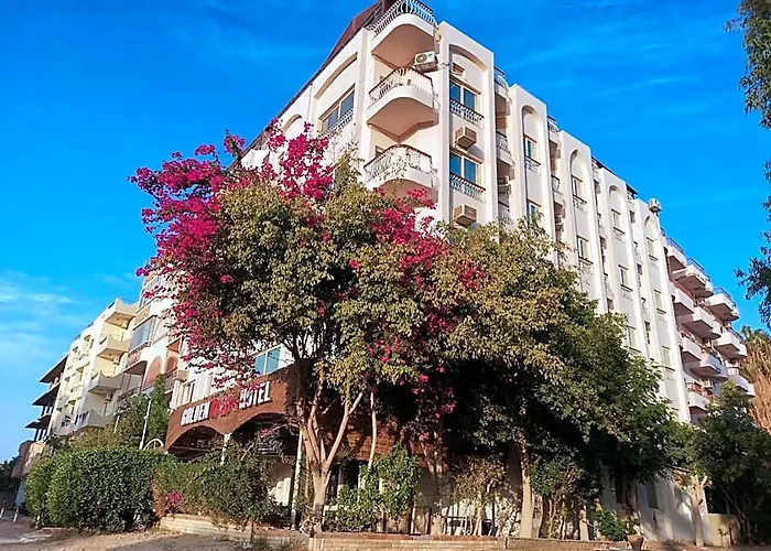 Hostel Golden Rose Hurgada